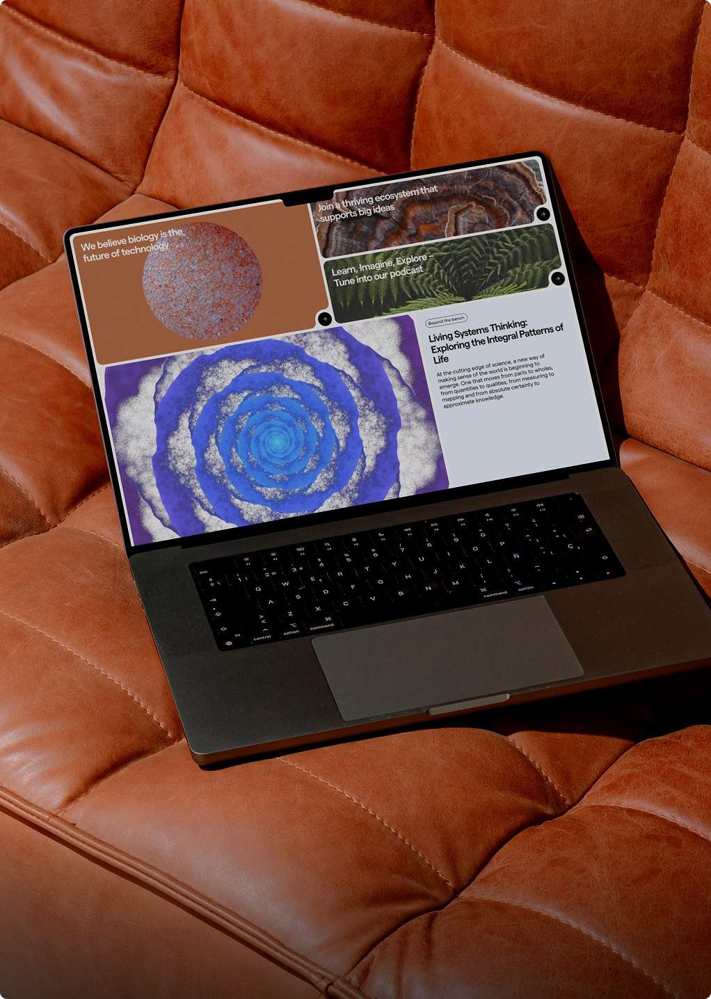 Web Design & Development