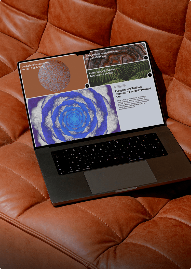 Web Design & Development